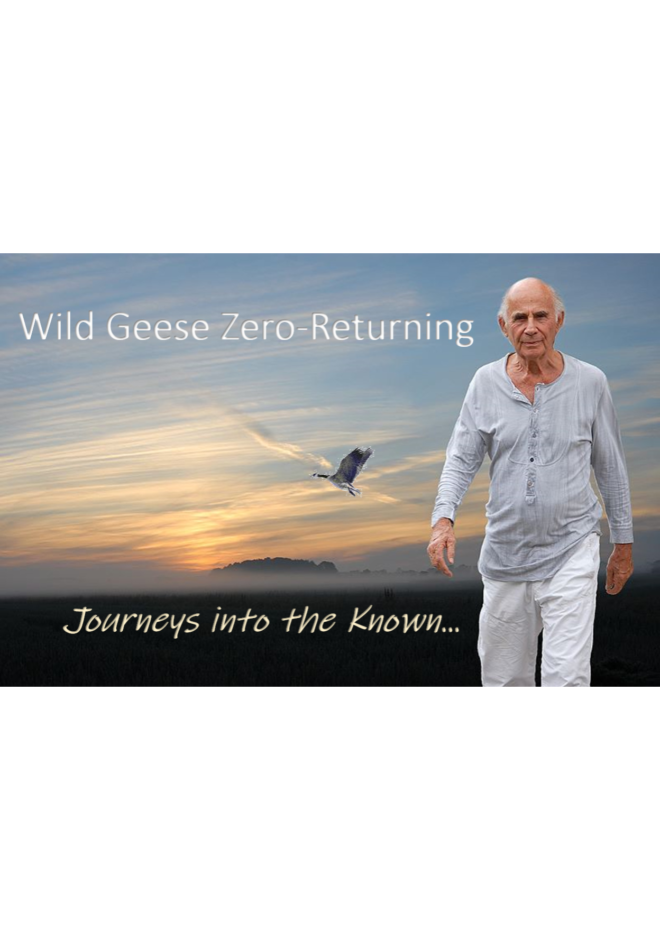 Wild-Geese-Zero-Returning-cover-front